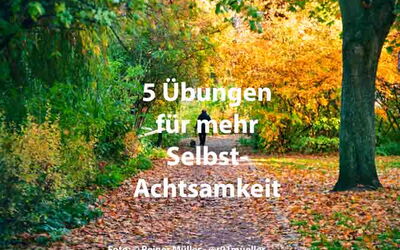 Selbstachtsamkeit - Fünf Übungen für Selbstachtsamkeit - Eine Person geht mit einem Hund einen herbstlichen Weg entlang - Foto: (c) Reiner Müller - @r01mueller - Angsttherapie